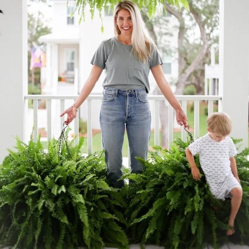 ✨ Glowing Boston Fern with Lights – Realistic Greenery, Zero Maintenance