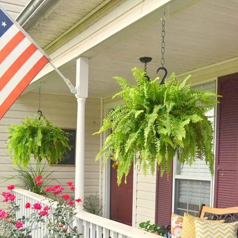 ✨ Glowing Boston Fern with Lights – Realistic Greenery, Zero Maintenance